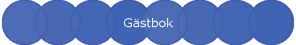 Gstbok