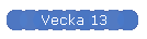 Vecka 13