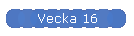 Vecka 16