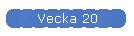 Vecka 20