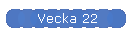 Vecka 22