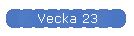 Vecka 23