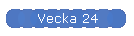 Vecka 24