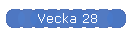 Vecka 28