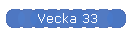 Vecka 33