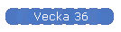 Vecka 36