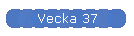 Vecka 37