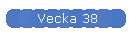 Vecka 38