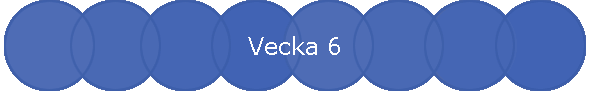 Vecka 6